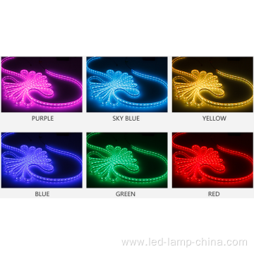 IP68 5050 led strip 3 years